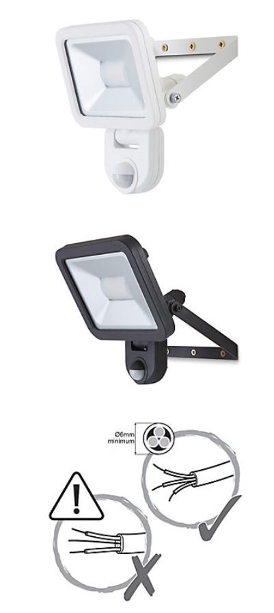 blooma pir light